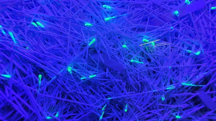 20210611_130850.jpg