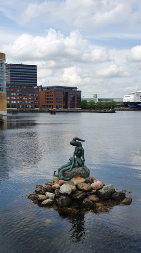 20210611_135619.jpg
