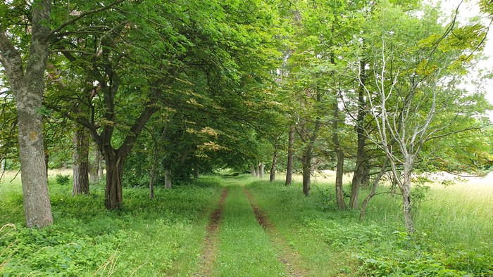 20210708_110106.jpg
