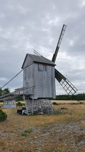 20210708_133544.jpg