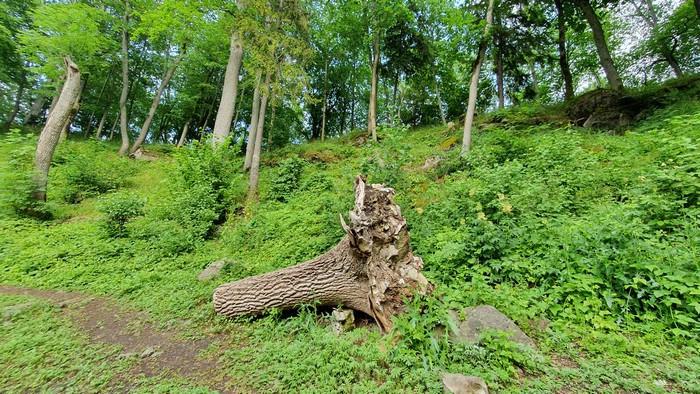 20210709_154945.jpg