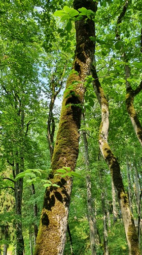 20210709_160303.jpg