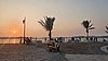 20211206_171854.jpg