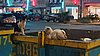 20211206_214705.jpg