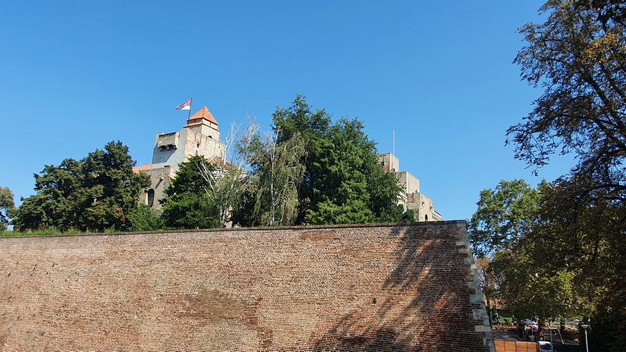 20220906_112554.jpg