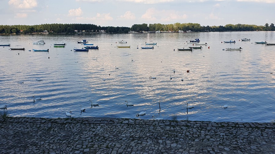 20220906_170712.jpg