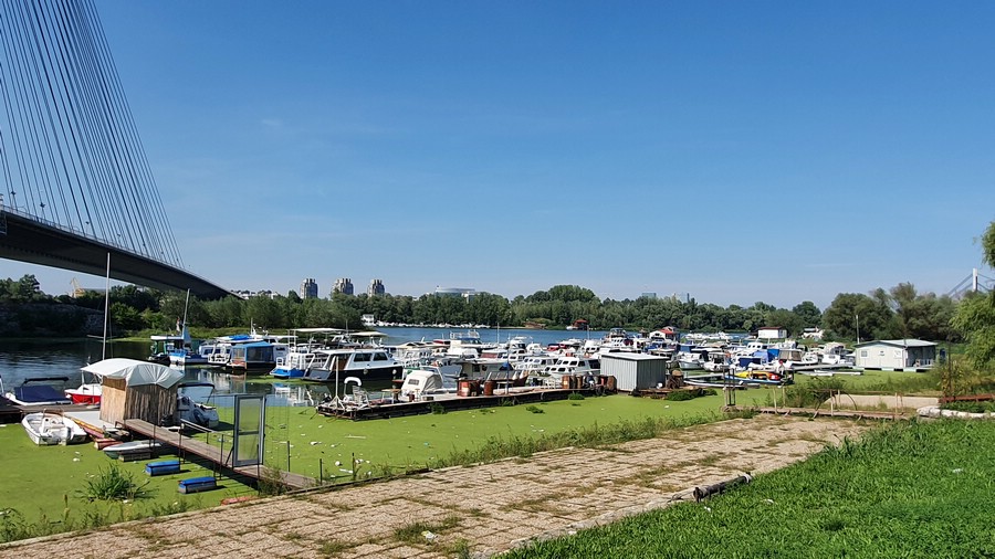 20220907_144909.jpg