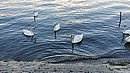 20220906_170748.jpg