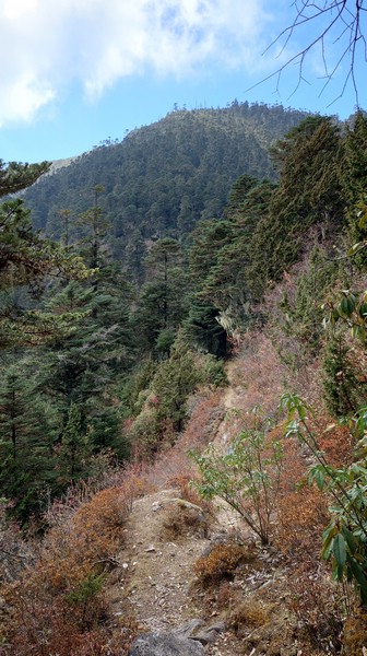20221108_103455.JPG