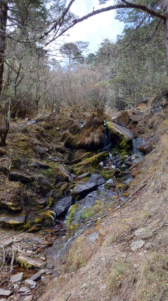20221108_104046.JPG