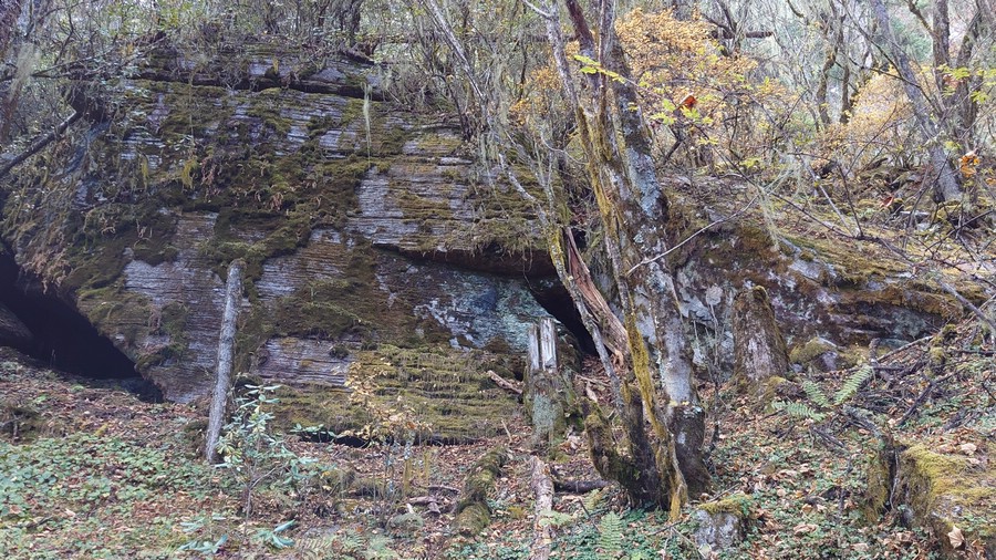20221108_104920.JPG