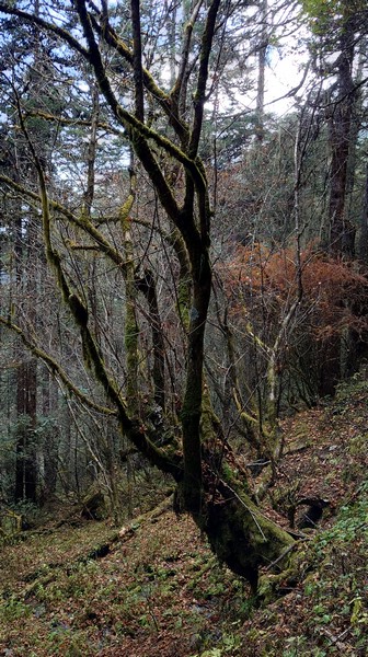 20221108_105004.JPG