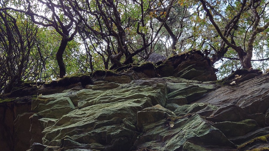 20221108_105015.JPG