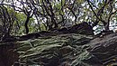20221108_105015.JPG