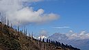 20221108_114914.JPG