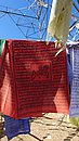 20221108_122817.JPG