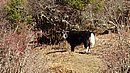 20221108_140255.JPG