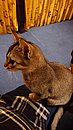 20221108_190614.JPG