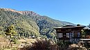 20221109_083804.JPG