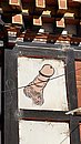 20221109_085053.JPG