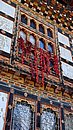 20221109_093448.JPG