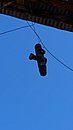 20221109_093729.JPG