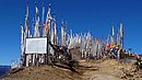 20221109_104619.JPG