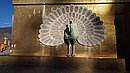 20221109_145007.JPG