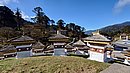 20221110_092259.JPG