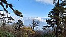 20221110_094124.JPG