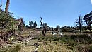 20221110_105520.JPG