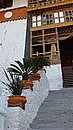 20221110_140229.JPG
