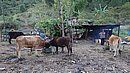 20221110_152736.JPG
