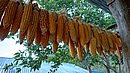 20221110_153046.JPG
