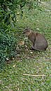 20221110_165832.JPG