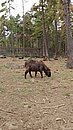 20221112_125936.JPG