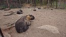 20221112_130134.JPG