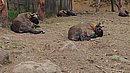 20221112_130201.JPG