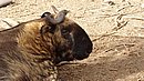 20221112_131422.JPG