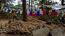 20221113_095614.JPG