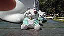 20221116_122341.JPG