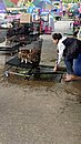 20221116_141929.JPG