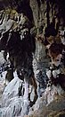 20221119_115757.JPG