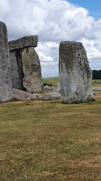 20220625_162959.jpg