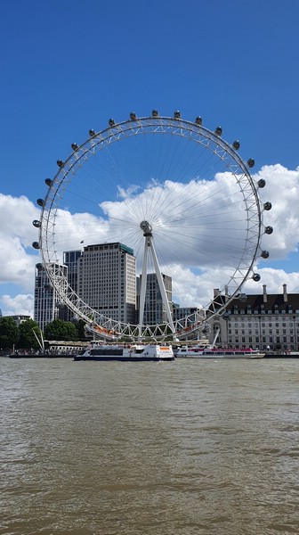 20220626_124908.jpg