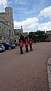 20220625_100419.jpg