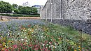 20220627_104621.jpg