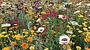 20220627_104705.jpg