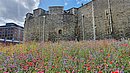 20220627_105635.jpg