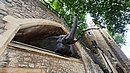 20220627_110830.jpg